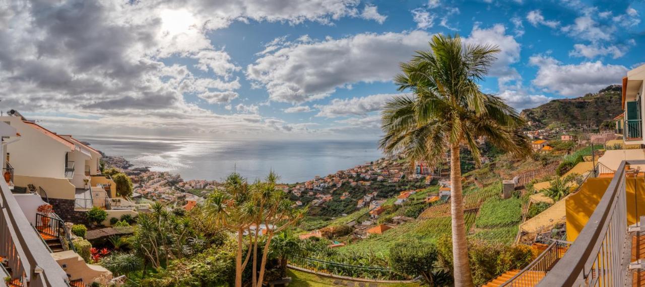 Palm Tree House By Amazing Madeira Villa Câmara de Lobos Exterior photo