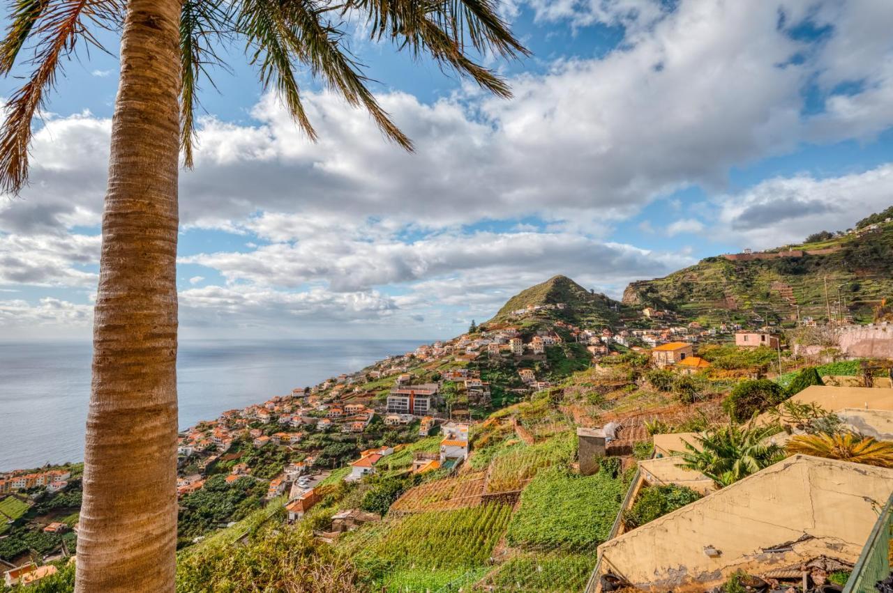Palm Tree House By Amazing Madeira Villa Câmara de Lobos Exterior photo